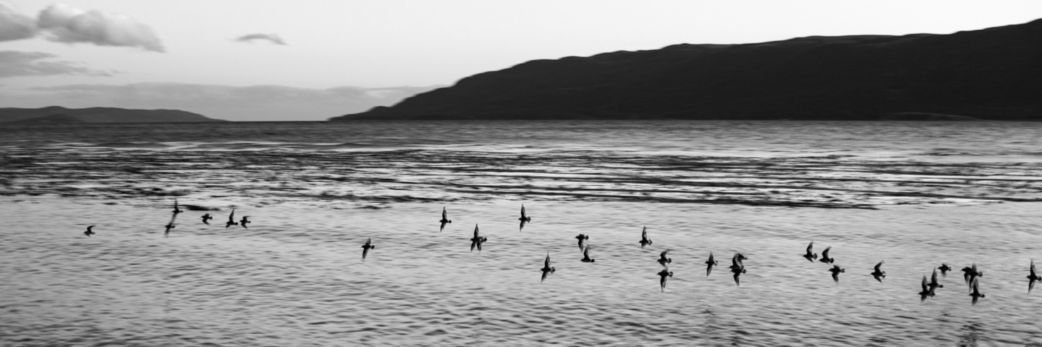 Evan MacDonald (he/him) banner