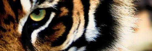 அ ப வெங்கடேஷ் banner