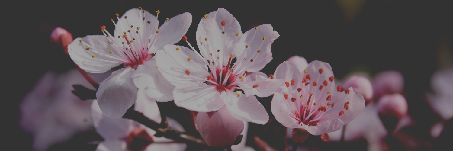 Ashley Thomas banner