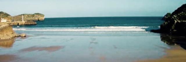 lavasaz's profile banner image