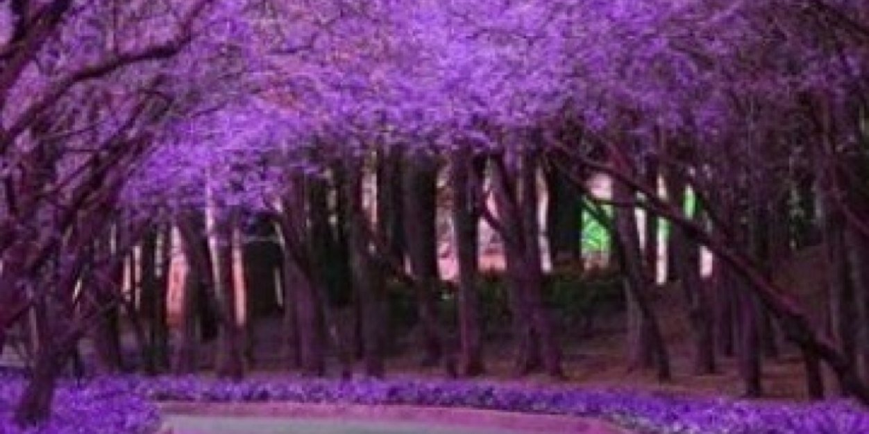 JaneBoxer's profile banner image