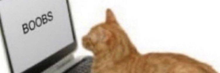 _GGWPmark's profile banner image