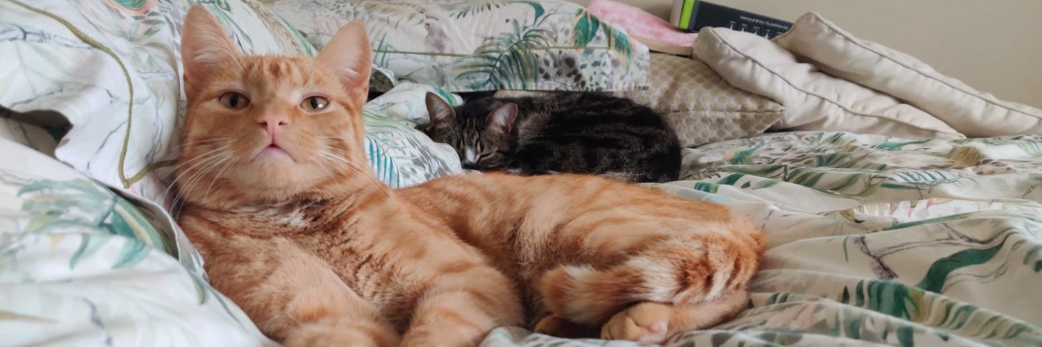 Sneakyboo's profile banner image