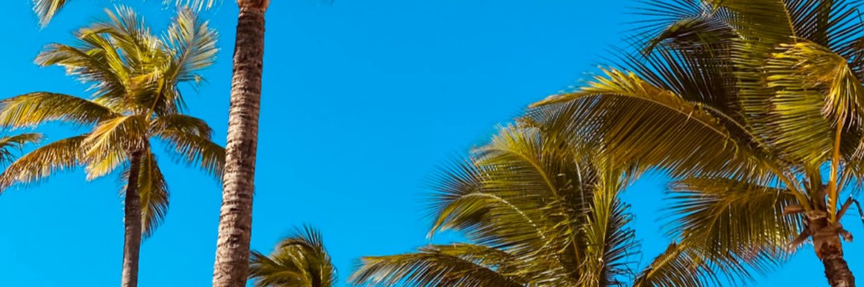 araikowski's profile banner image