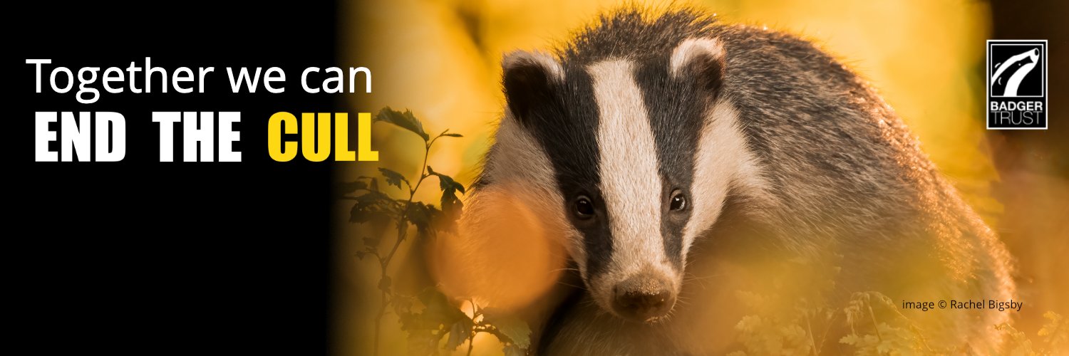 BadgerTrust's profile banner image