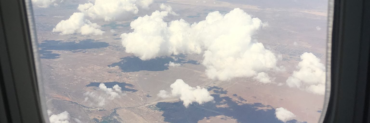 BlueXbree's profile banner image
