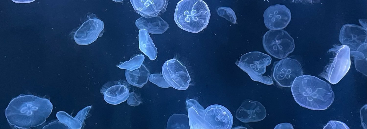 Reon1054's profile banner image