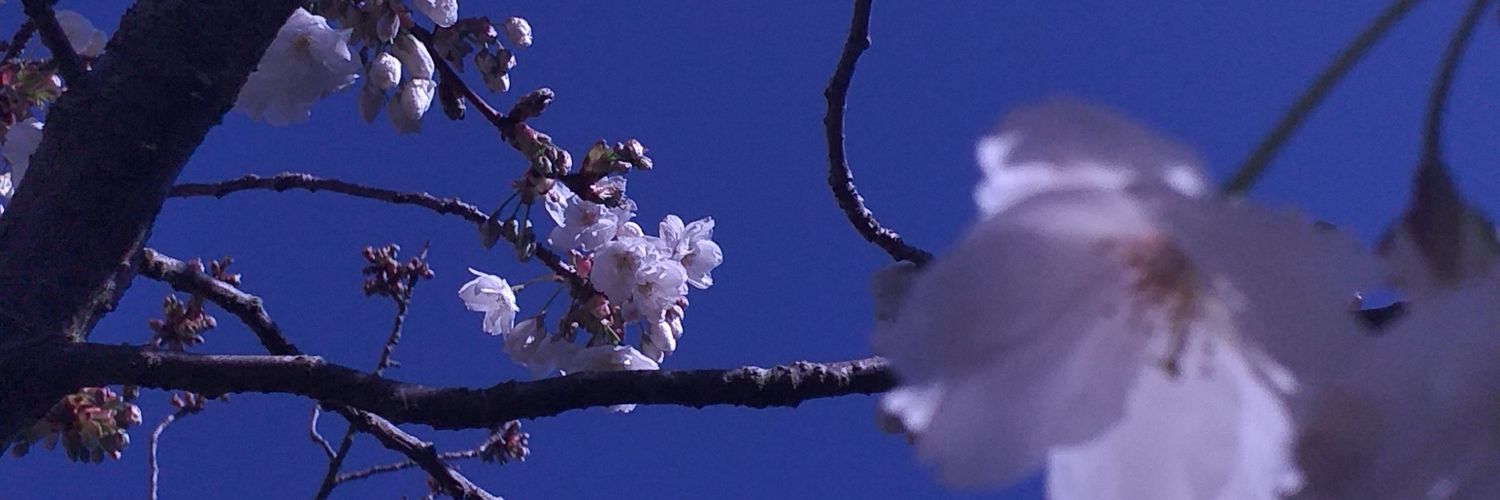 tombydand's profile banner image