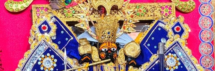 Sanatani Hindu SONAM RAJPUT banner