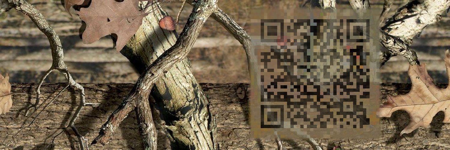 Foshowithit's profile banner image