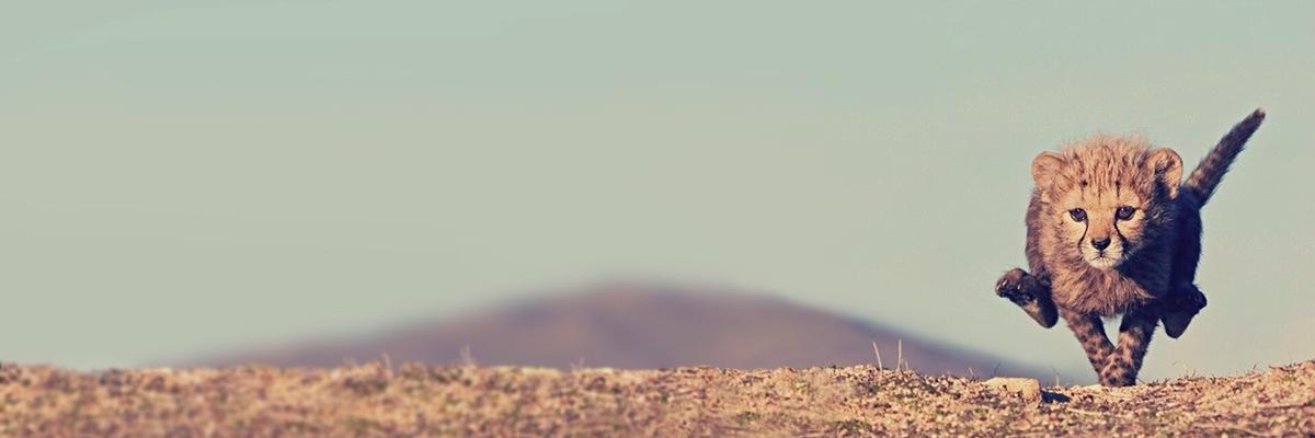 pathikrit_wrick's profile banner image