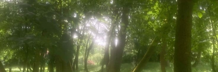 mv3idb's profile banner image