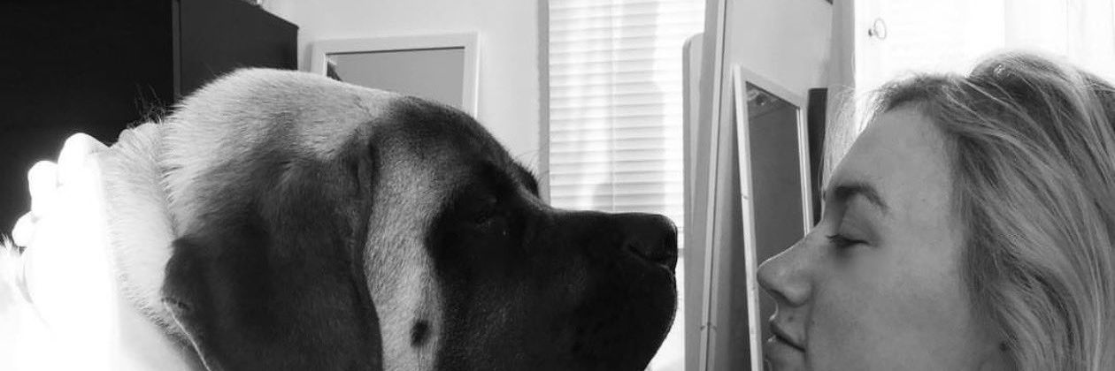 sabrinapaws294's profile banner image