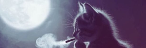 birdiecnc's profile banner image