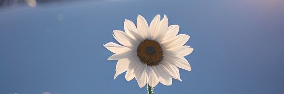 Ampijudpe's profile banner image