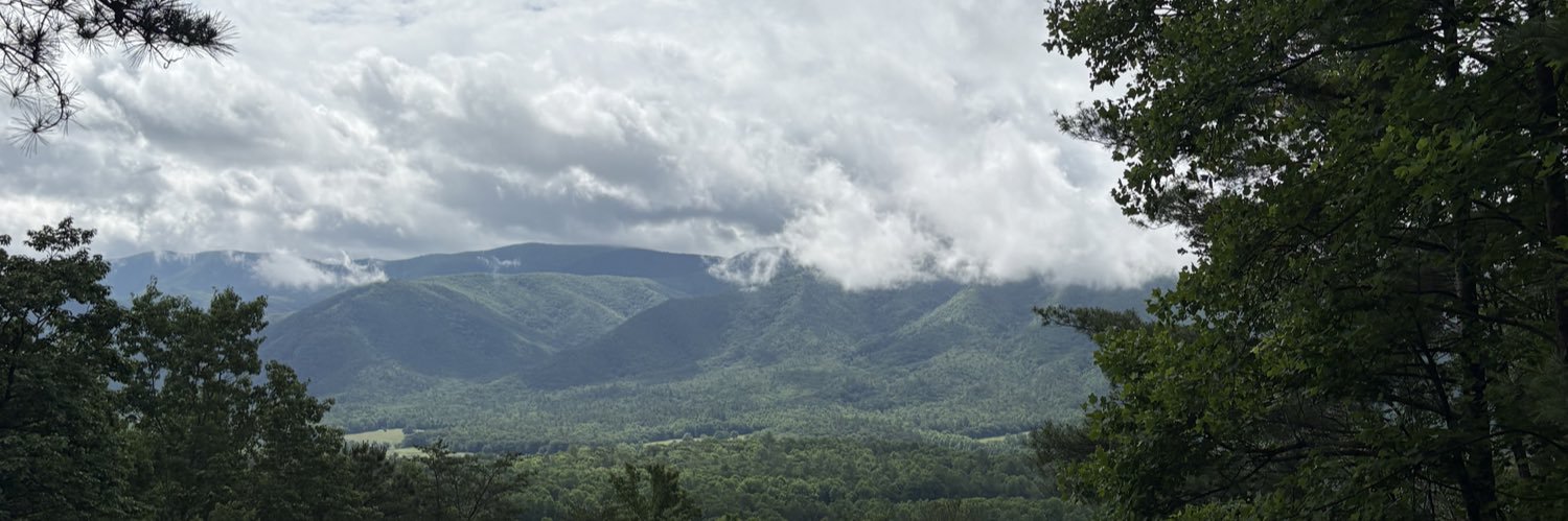 RepBimTurchett's profile banner image