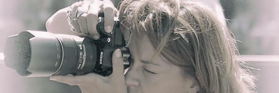 kathyvdpas's profile banner image