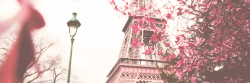 LexyRooney's profile banner image