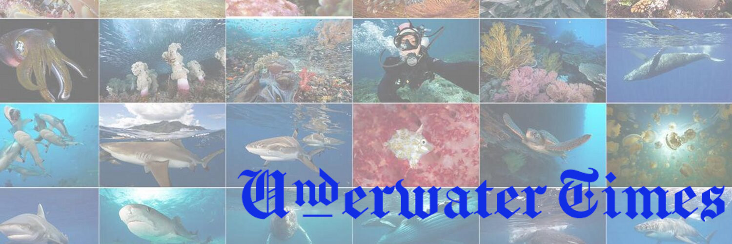 UnderwaterTimes's profile banner image