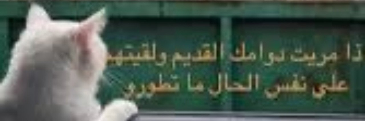 FADELFADELp63f's profile banner image