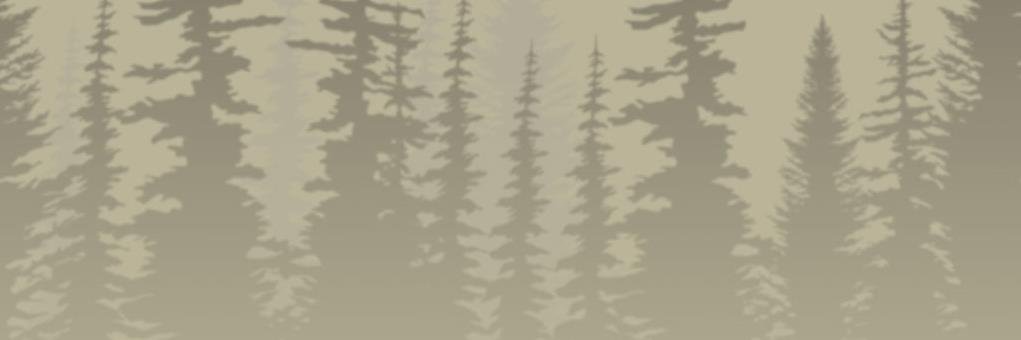 MTFISHING's profile banner image