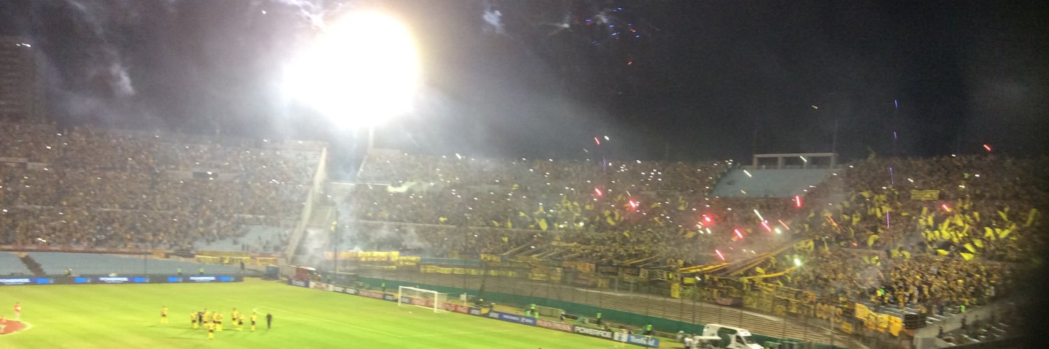 fernandofazzari's profile banner image