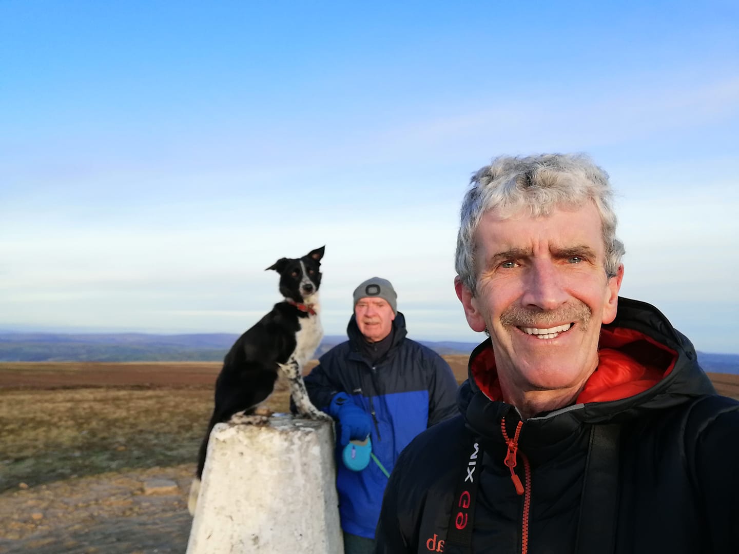 david belshaw banner