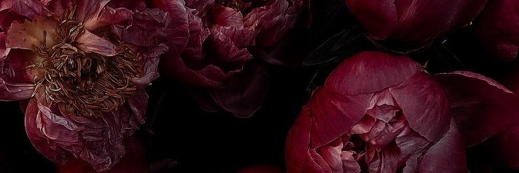 soldoutlovers's profile banner image