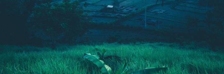 madfrog91's profile banner image
