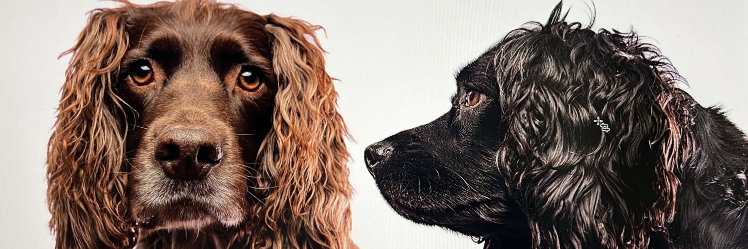 our_ayley's profile banner image