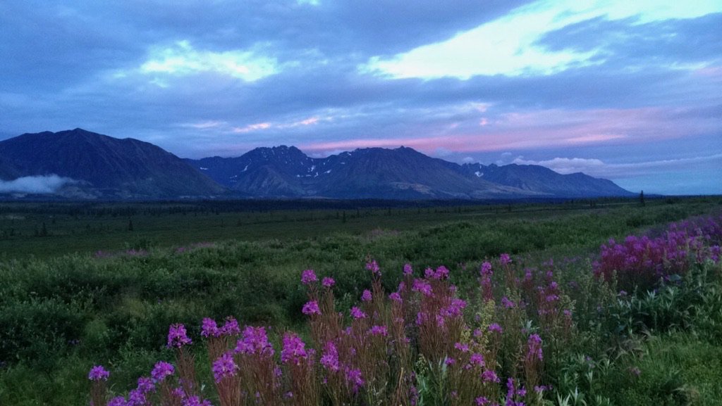 Chad Shepherd banner