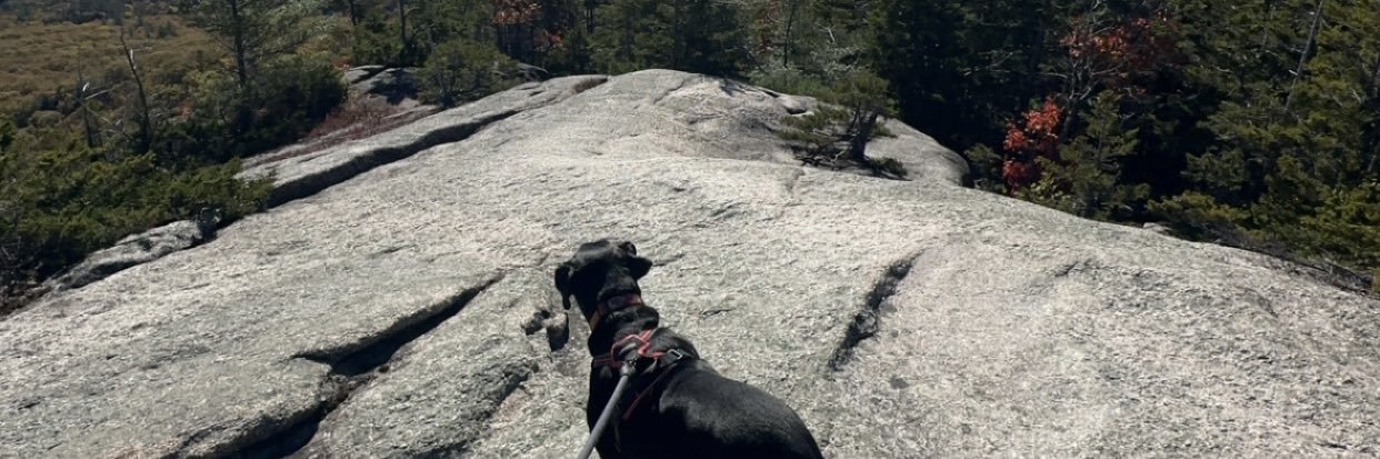 Whit 🫶🏻 banner