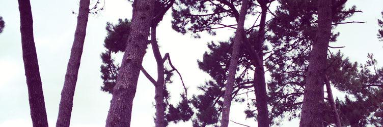 boTwist's profile banner image