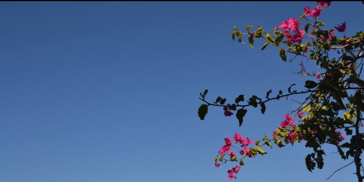 yoncabulat's profile banner image