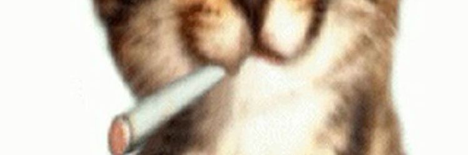 seungeoomf's profile banner image