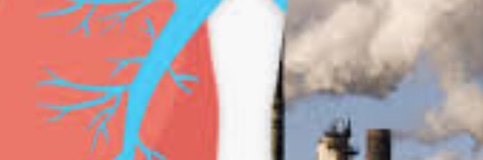 simssaltpipe's profile banner image