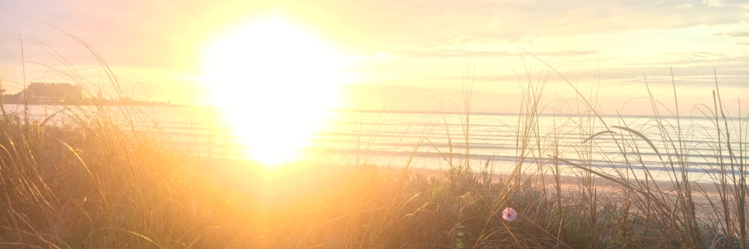 cardoenflor's profile banner image