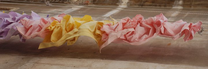 Gemma Busquets Ros banner