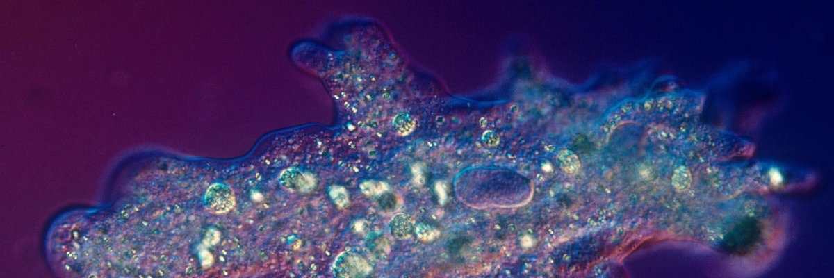 ScienceSource's profile banner image