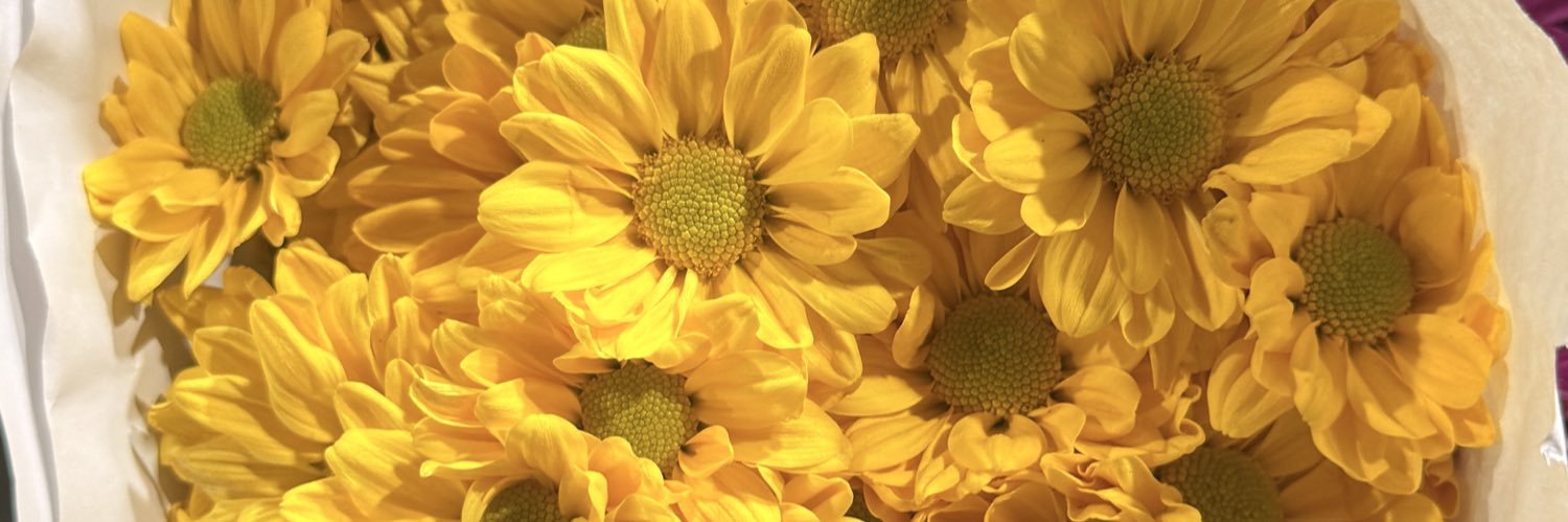 aetherlys's profile banner image