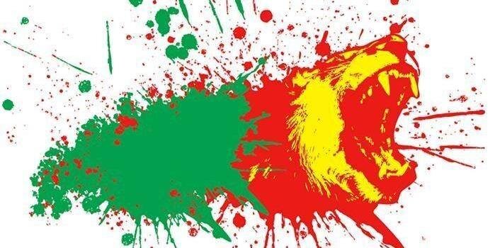 edgardine's profile banner image