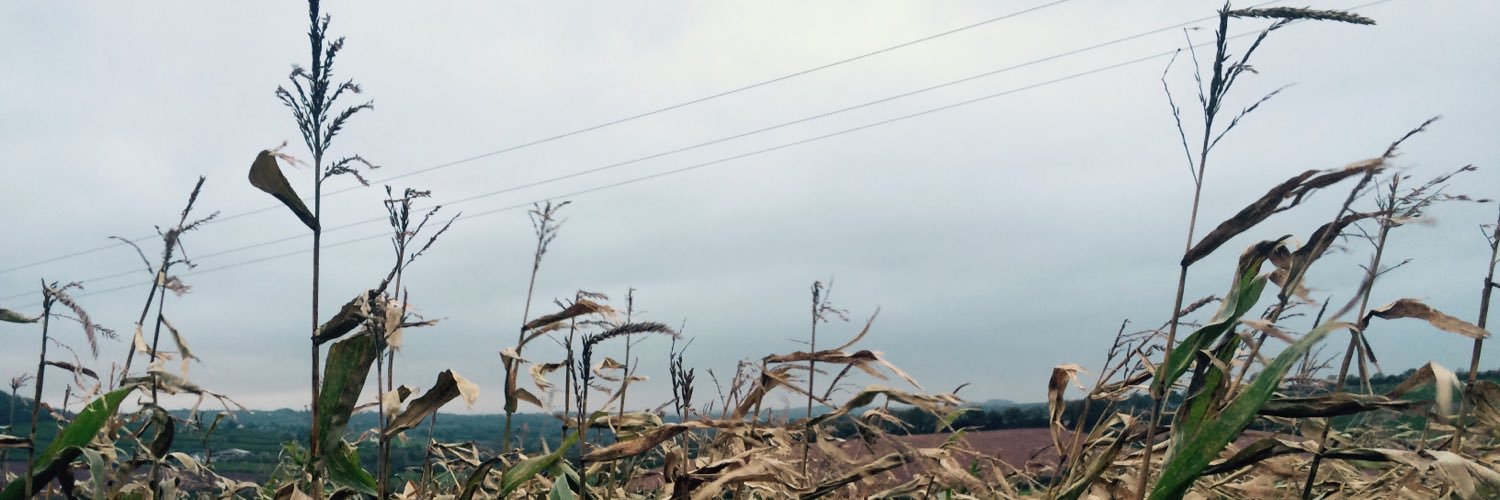 lvmshl's profile banner image
