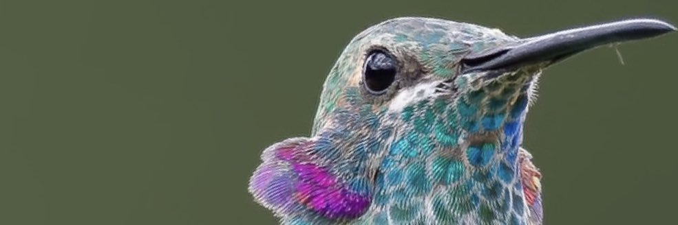 LEILADIASS's profile banner image