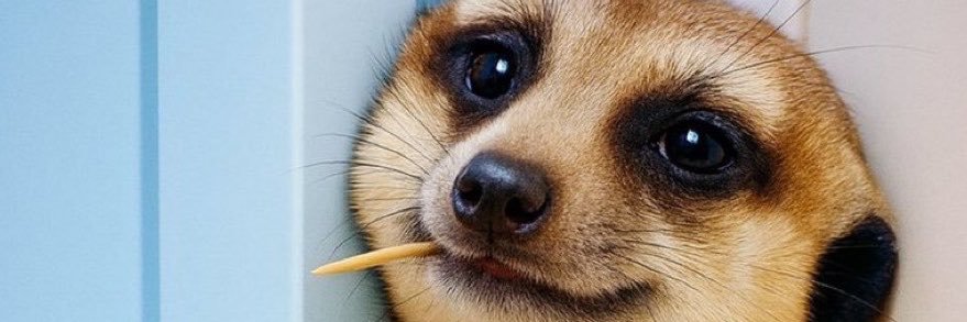NALDOFEL's profile banner image