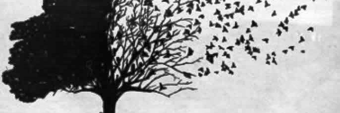 EloisaCovelli's profile banner image