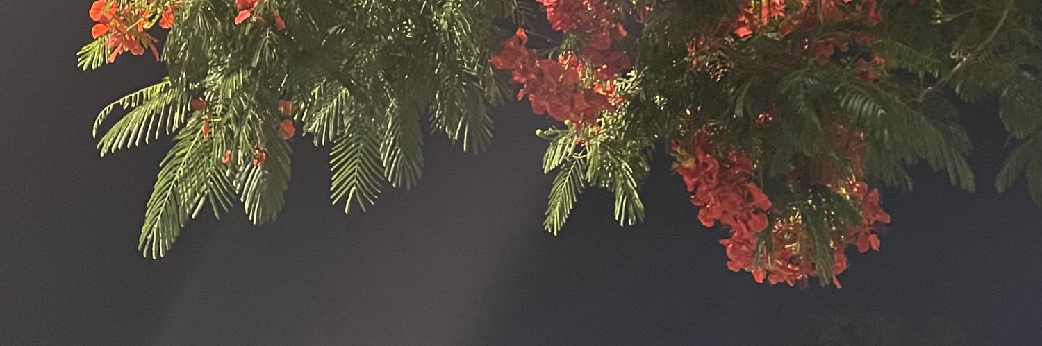 guilm57's profile banner image