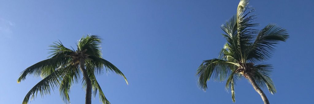 121175dd's profile banner image