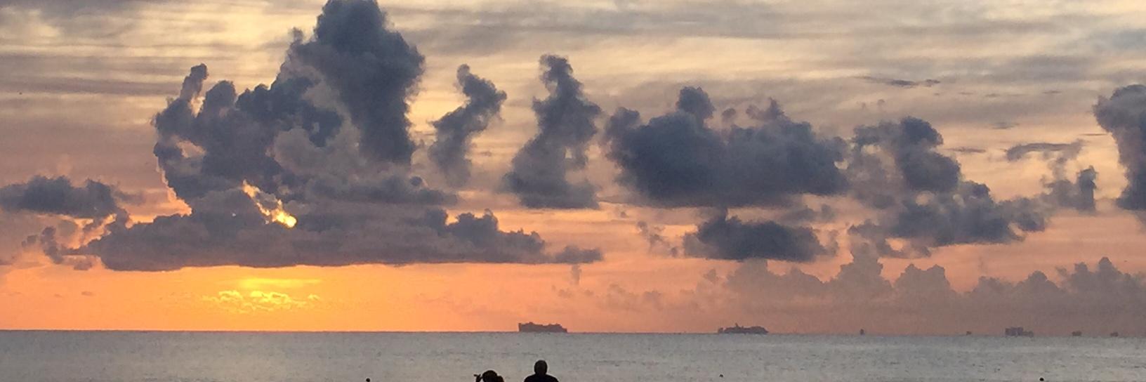 Ashley Zeckman banner