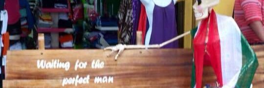 Lauren Graham banner