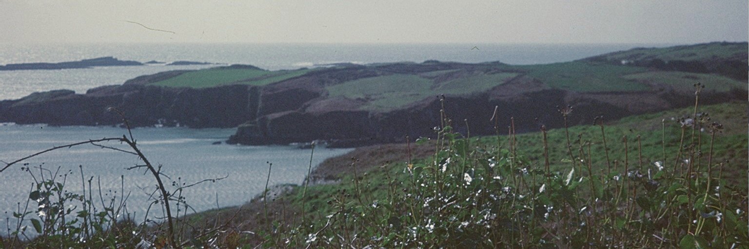 Portobello_Toad's profile banner image